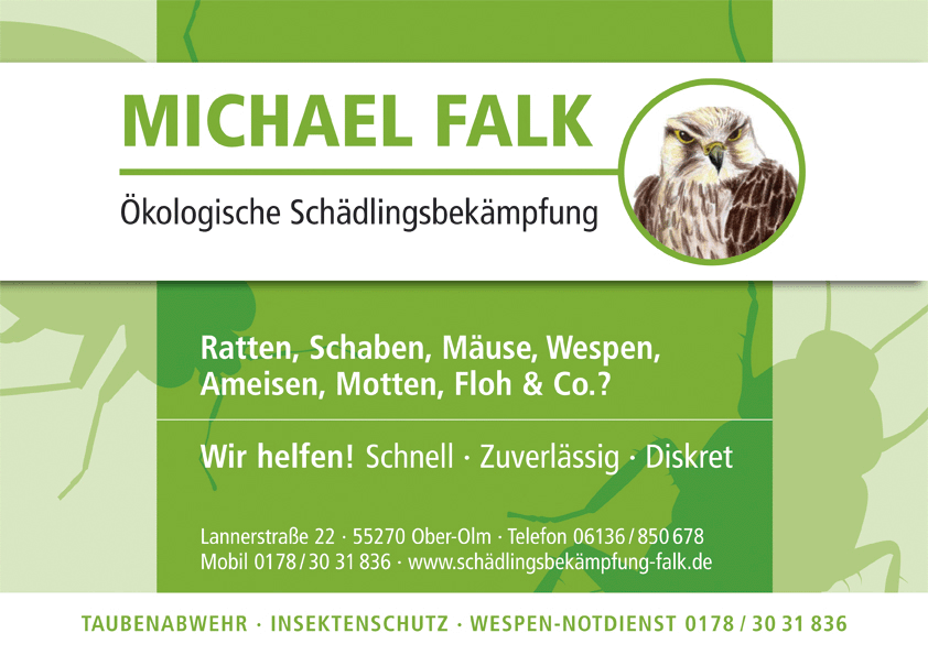 Schädlingsbekämpfung Mainz - Ökologische Schädlingsbekämpfung Michael Falk